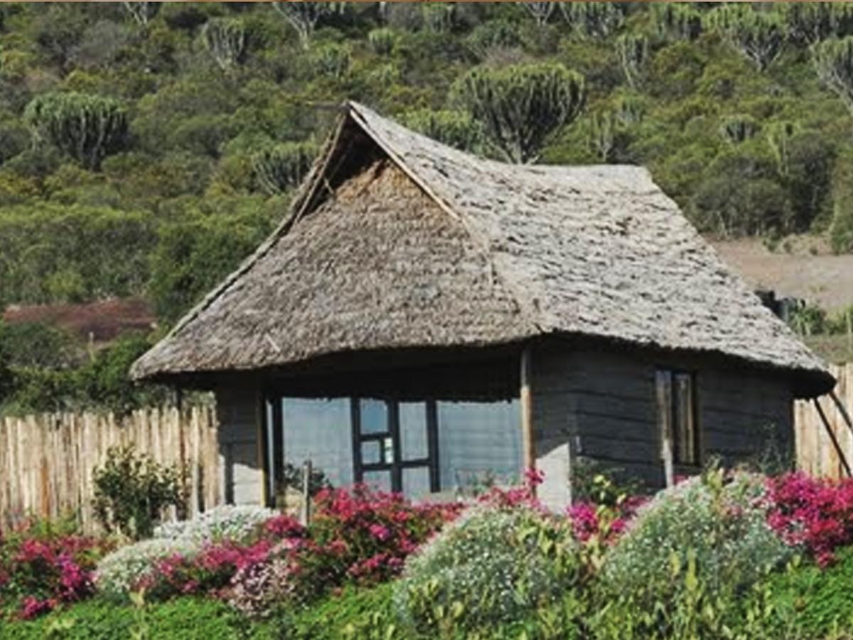 Rhino Watch Safarilodge Mweiga Værelse billede